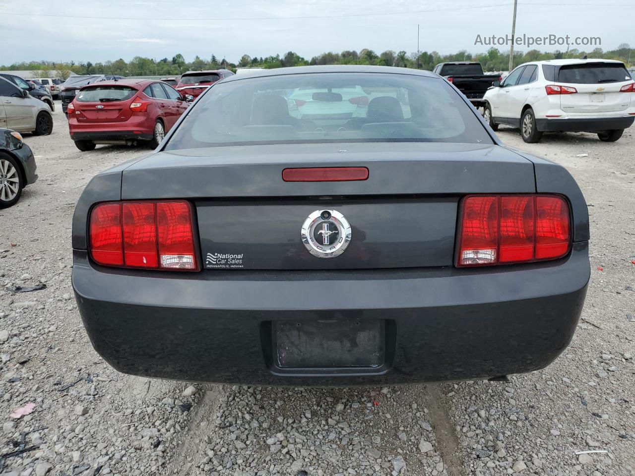 2008 Ford Mustang  Black vin: 1ZVHT80N685176888