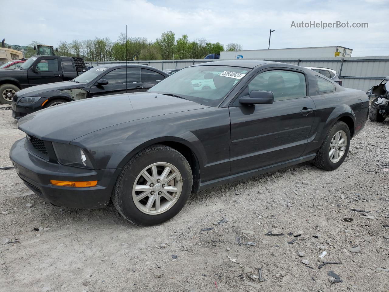 2008 Ford Mustang  Black vin: 1ZVHT80N685176888