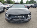 2008 Ford Mustang  Black vin: 1ZVHT80N685191634