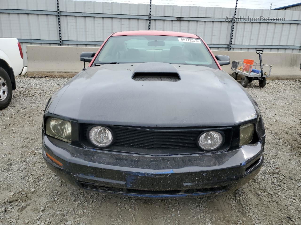 2008 Ford Mustang  Red vin: 1ZVHT80N685201014