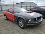 2008 Ford Mustang  Red vin: 1ZVHT80N685201014