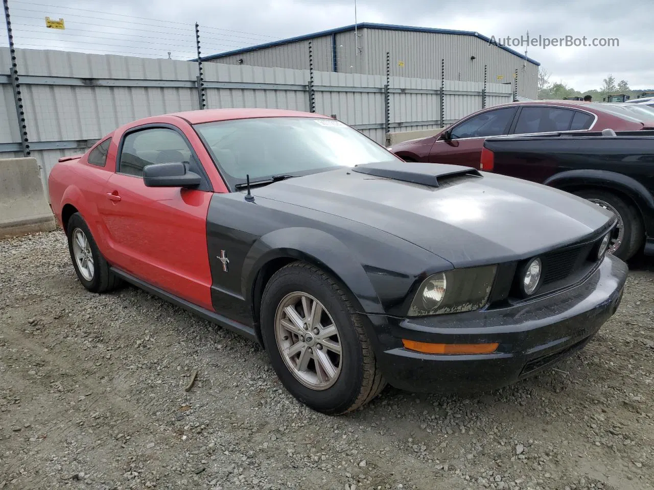 2008 Ford Mustang  Красный vin: 1ZVHT80N685201014