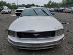 2011 Ford Mustang  Silver vin: 1ZVHT80N695139003