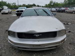 2011 Ford Mustang  Серебряный vin: 1ZVHT80N695139003