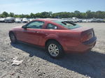 2008 Ford Mustang  Red vin: 1ZVHT80N785153751