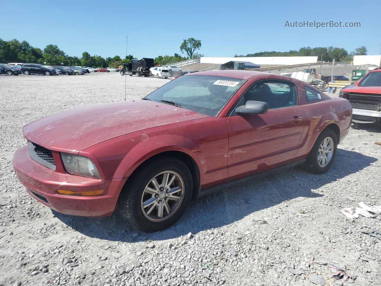 2008 Ford Mustang  Red vin: 1ZVHT80N785153751