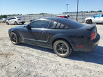 2008 Ford Mustang  Черный vin: 1ZVHT80N885154312