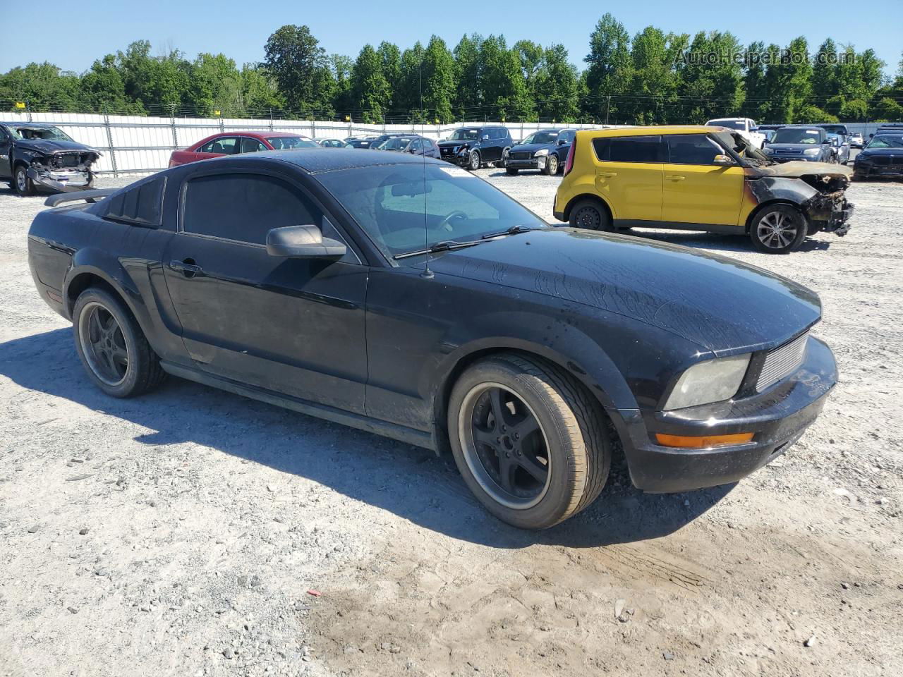 2008 Ford Mustang  Black vin: 1ZVHT80N885154312