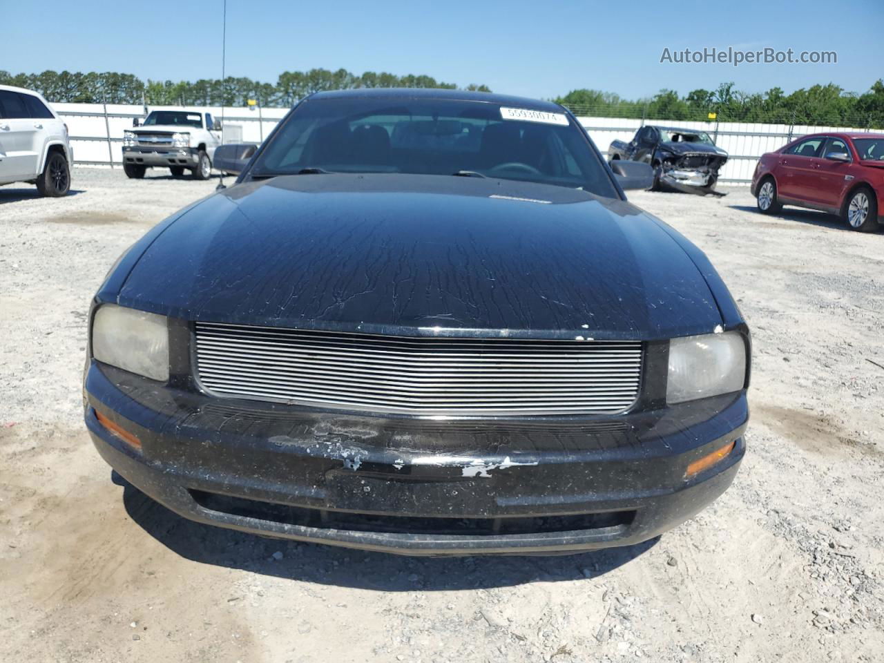 2008 Ford Mustang  Black vin: 1ZVHT80N885154312