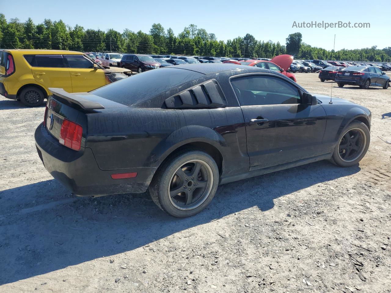 2008 Ford Mustang  Black vin: 1ZVHT80N885154312