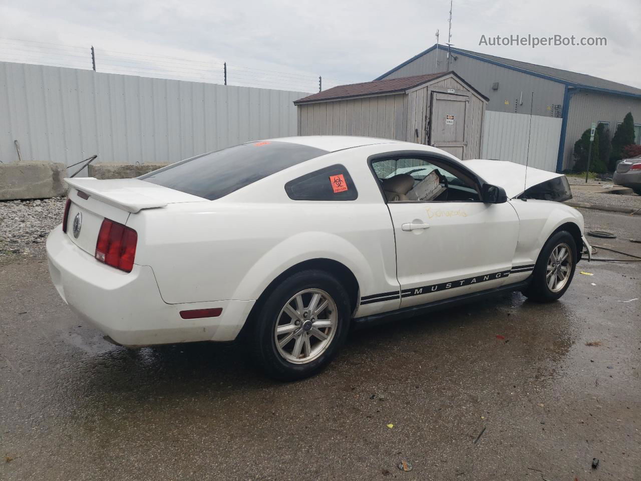 2008 Ford Mustang  Белый vin: 1ZVHT80N885188833