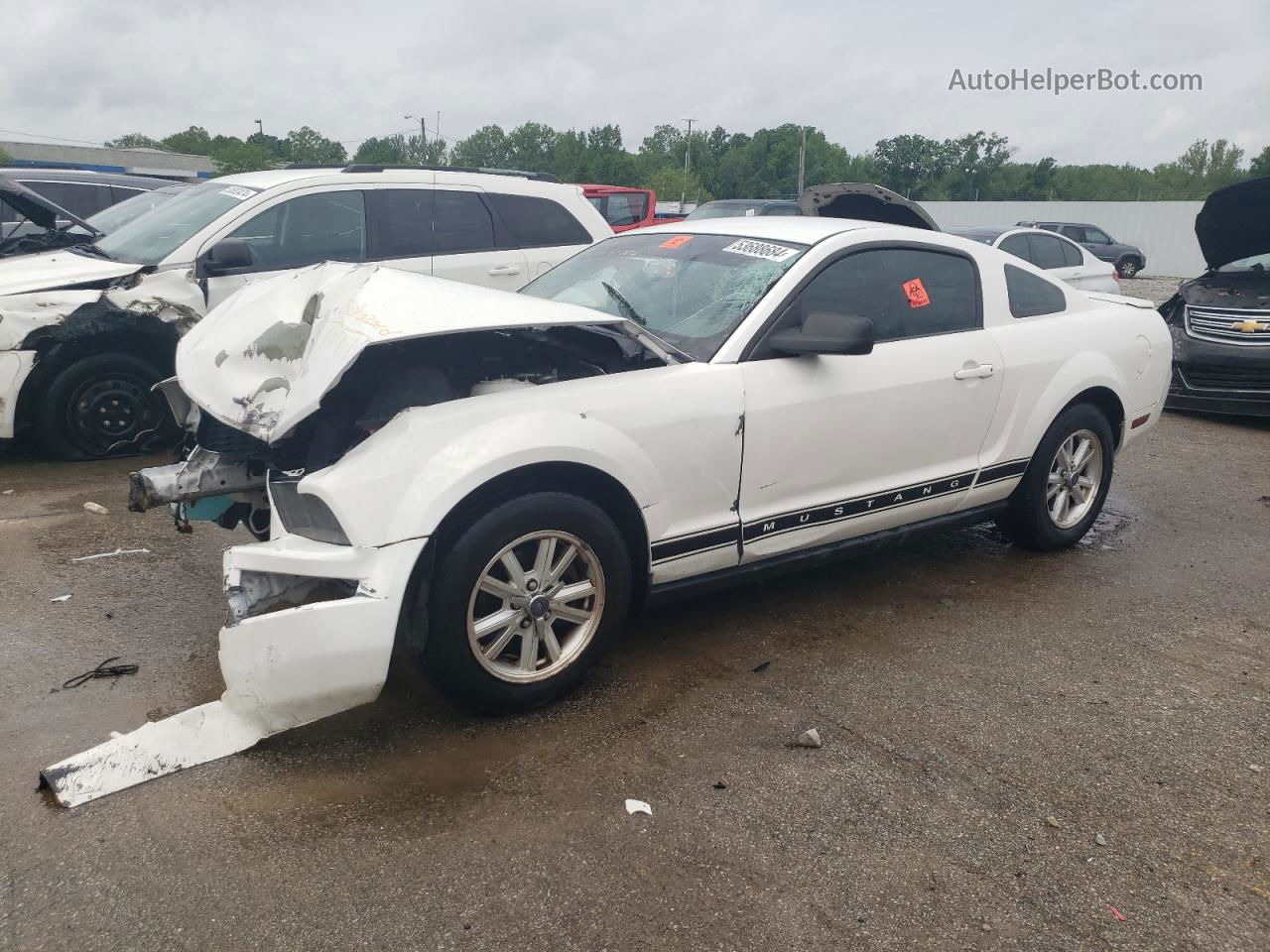 2008 Ford Mustang  Белый vin: 1ZVHT80N885188833