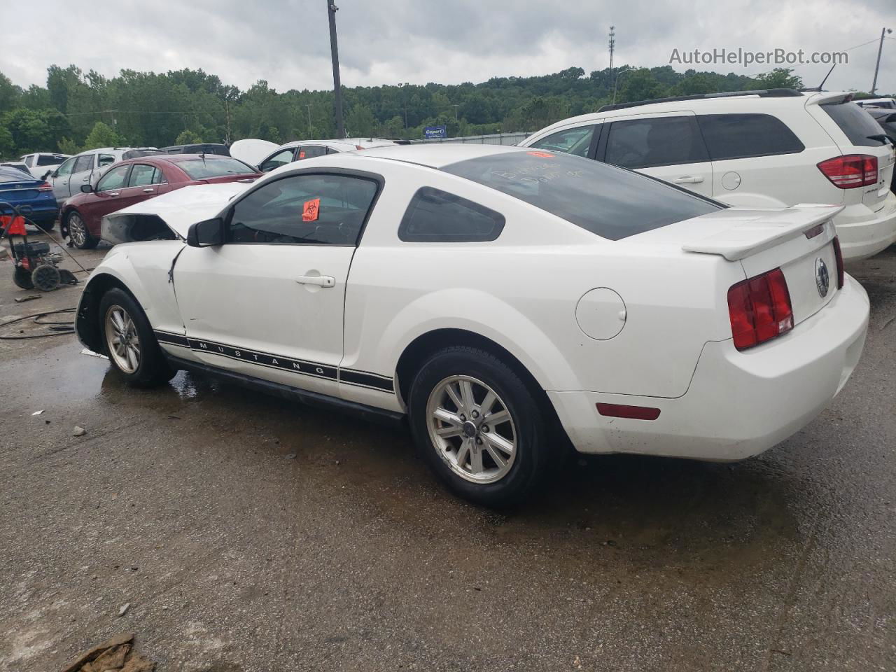 2008 Ford Mustang  Белый vin: 1ZVHT80N885188833