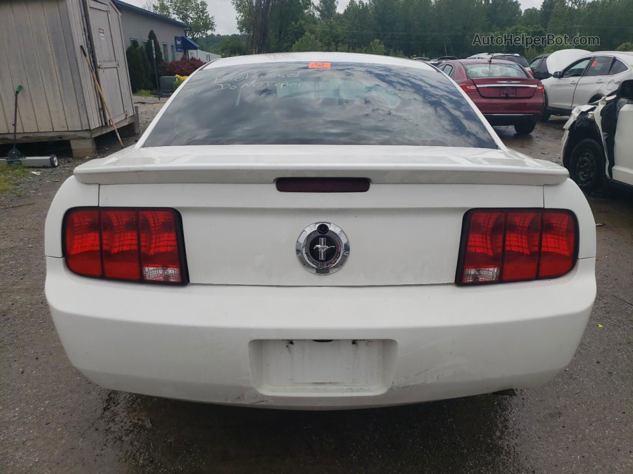 2008 Ford Mustang  Белый vin: 1ZVHT80N885188833