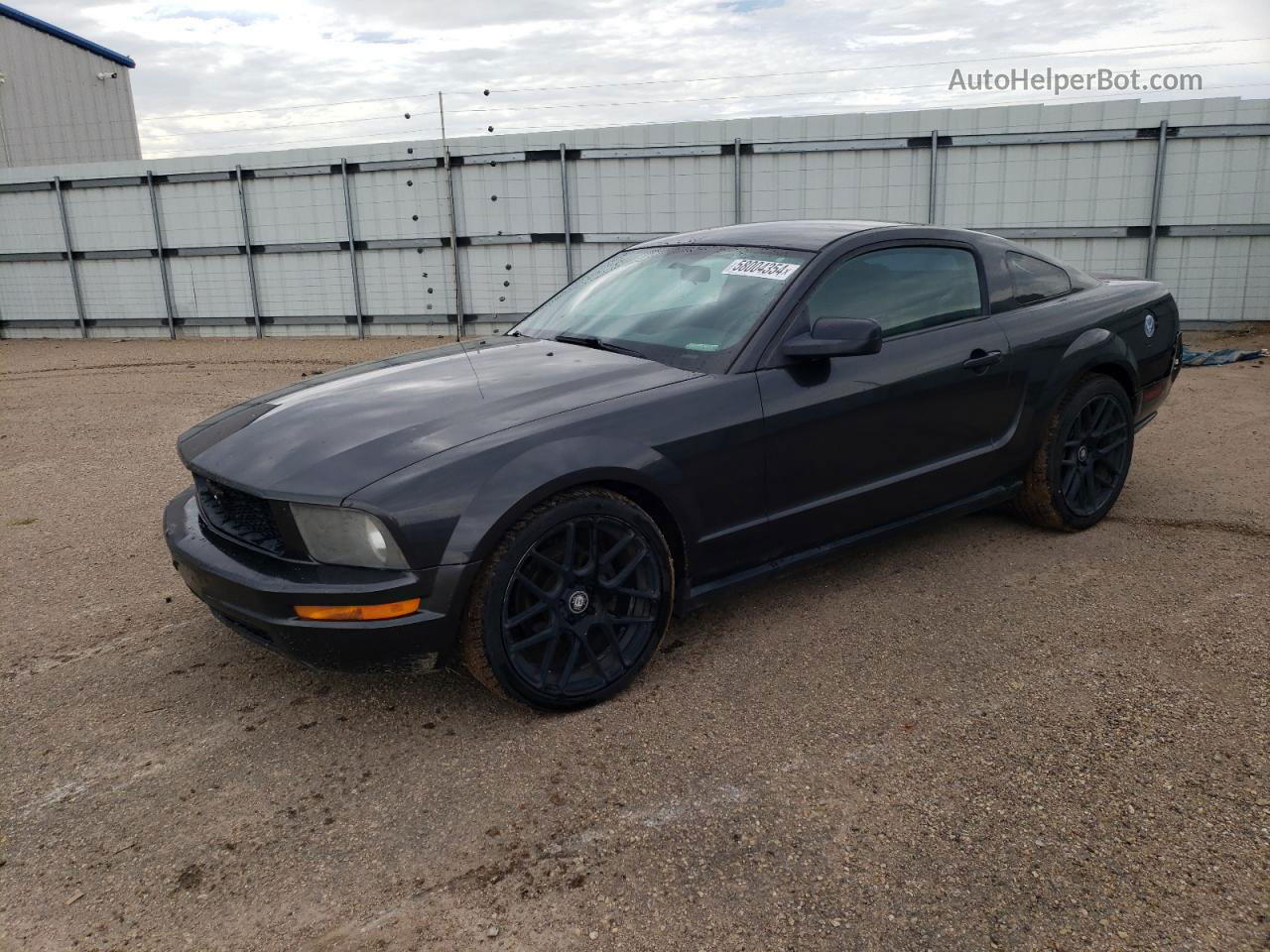 2008 Ford Mustang  Gray vin: 1ZVHT80NX85129296