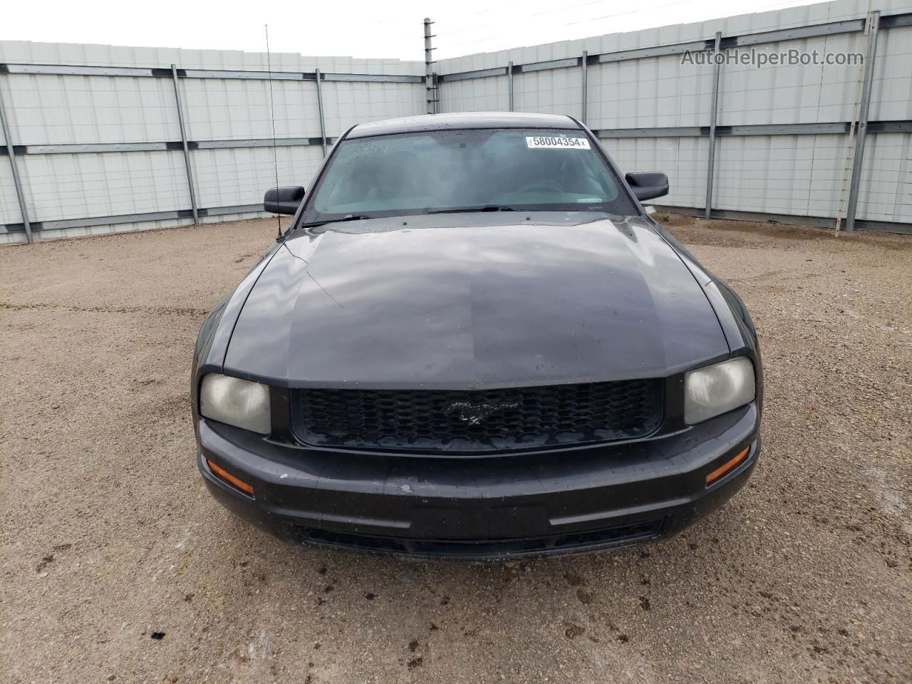 2008 Ford Mustang  Gray vin: 1ZVHT80NX85129296