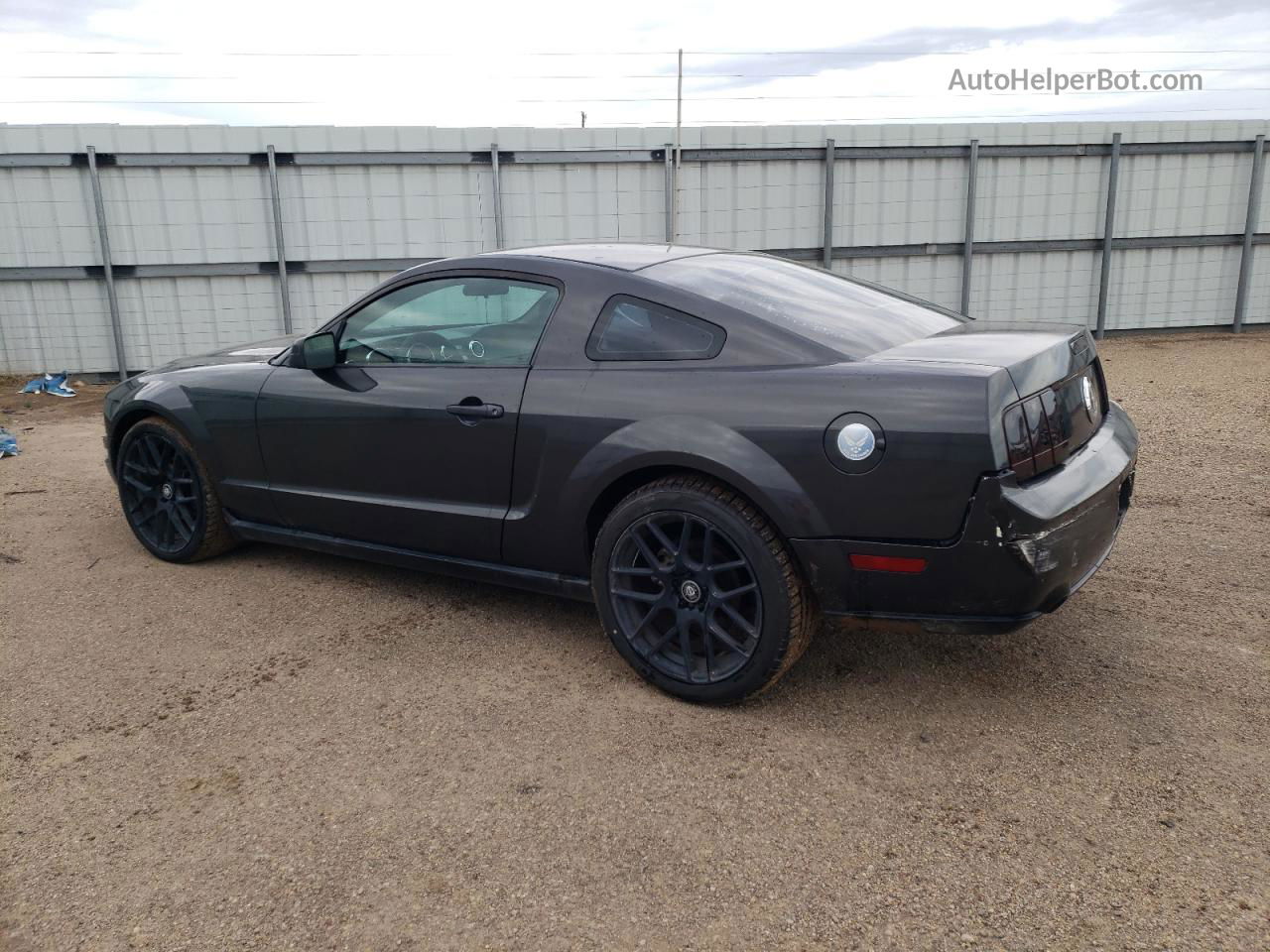 2008 Ford Mustang  Gray vin: 1ZVHT80NX85129296