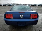 2008 Ford Mustang  Синий vin: 1ZVHT80NX85148429