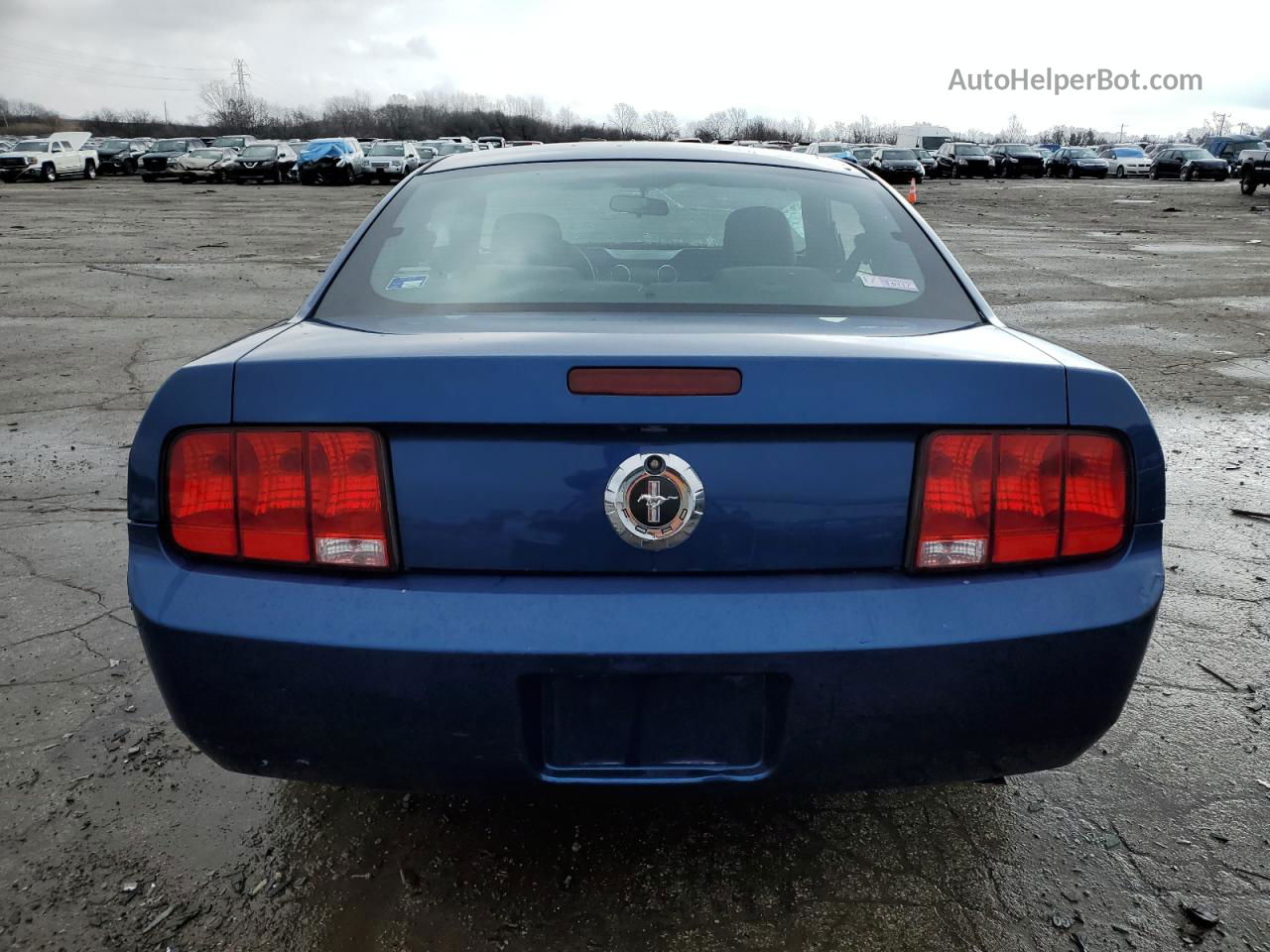 2008 Ford Mustang  Blue vin: 1ZVHT80NX85148429