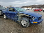 2008 Ford Mustang  Синий vin: 1ZVHT80NX85148429