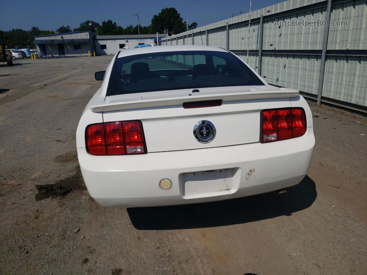 2008 Ford Mustang  White vin: 1ZVHT80NX85175579