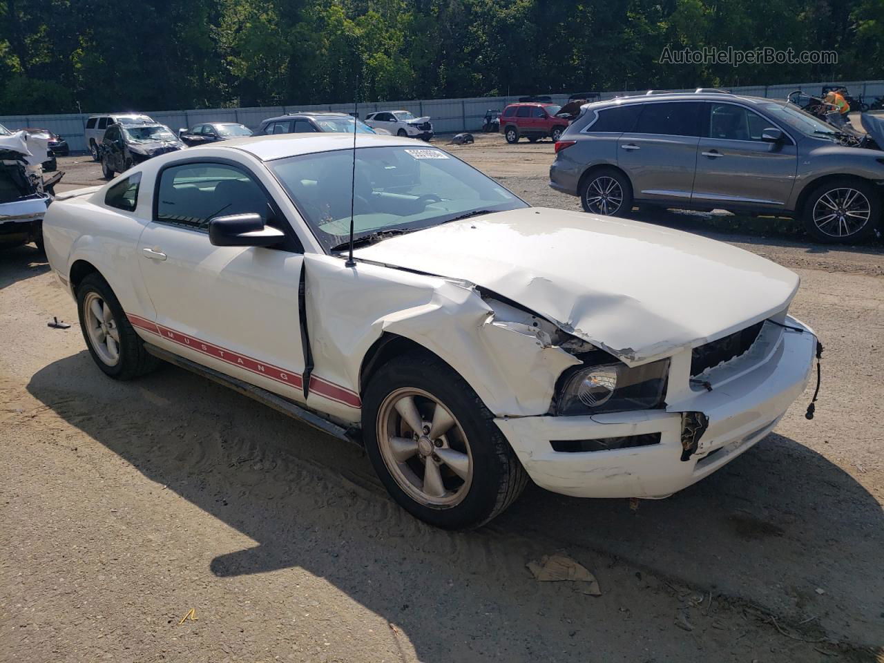 2008 Ford Mustang  White vin: 1ZVHT80NX85175579