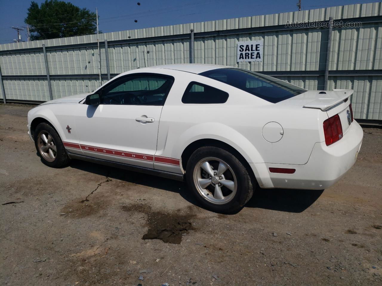 2008 Ford Mustang  White vin: 1ZVHT80NX85175579