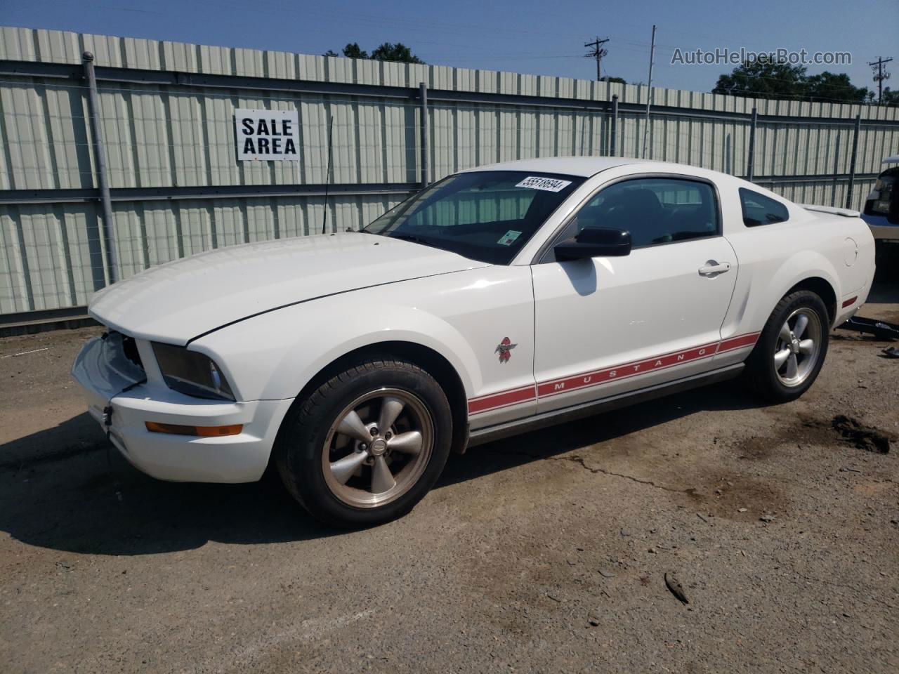 2008 Ford Mustang  White vin: 1ZVHT80NX85175579