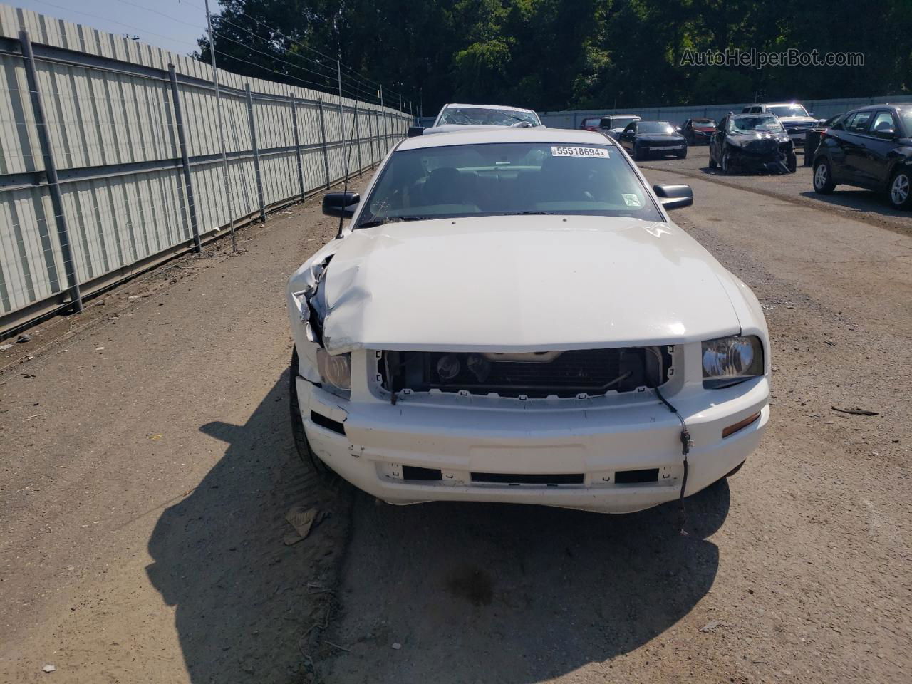 2008 Ford Mustang  White vin: 1ZVHT80NX85175579