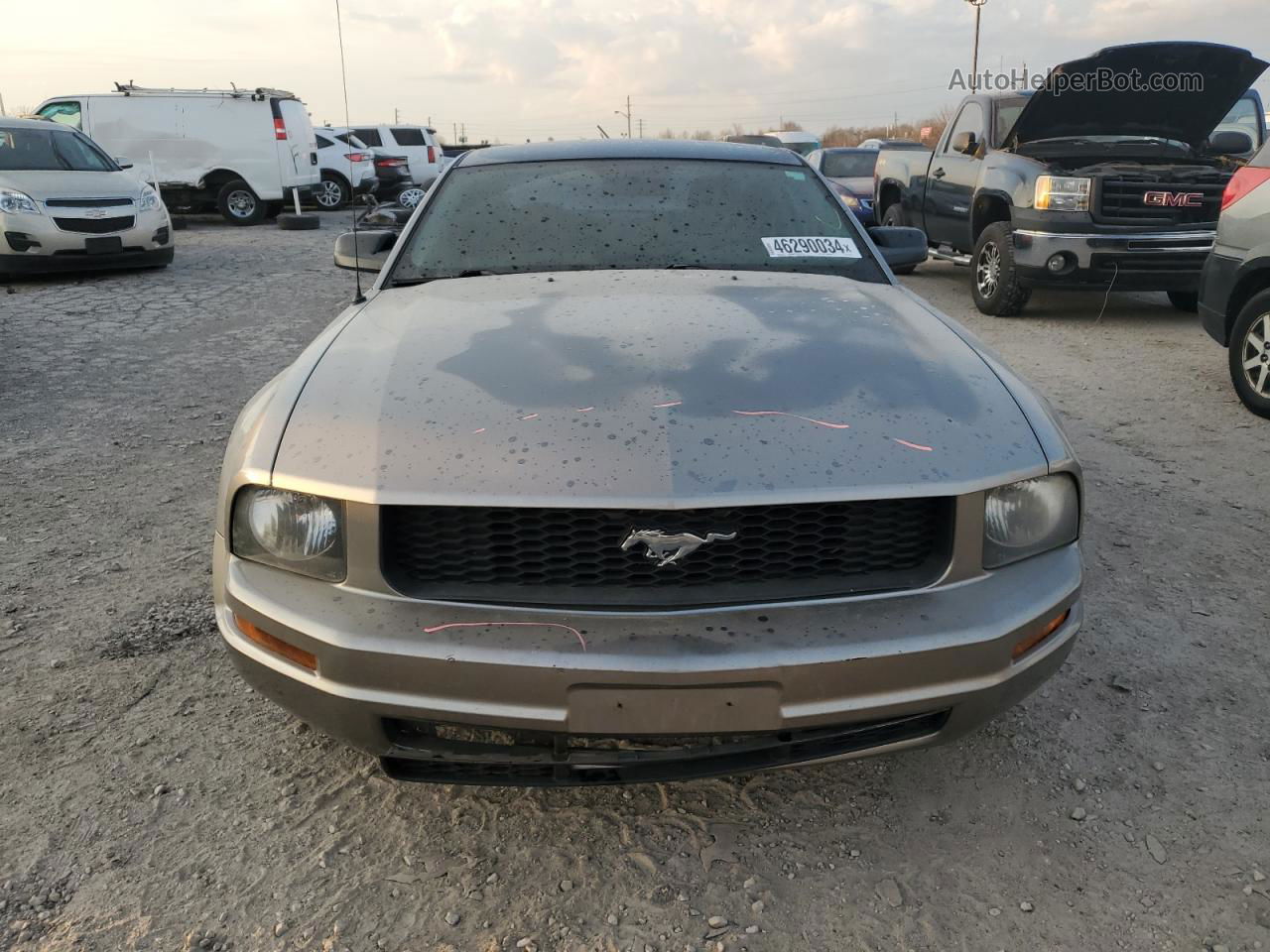 2008 Ford Mustang  Gray vin: 1ZVHT80NX85181415