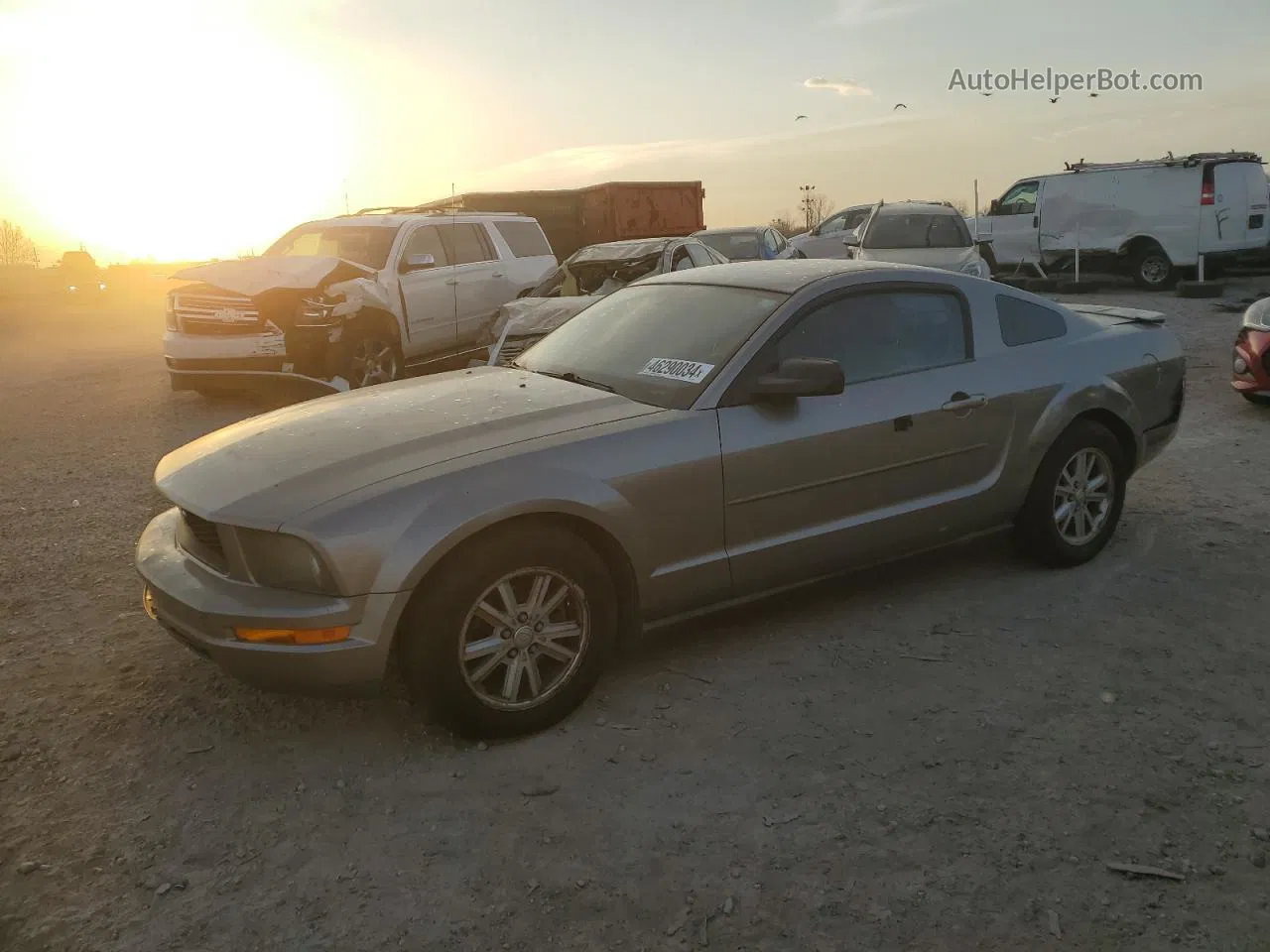 2008 Ford Mustang  Gray vin: 1ZVHT80NX85181415