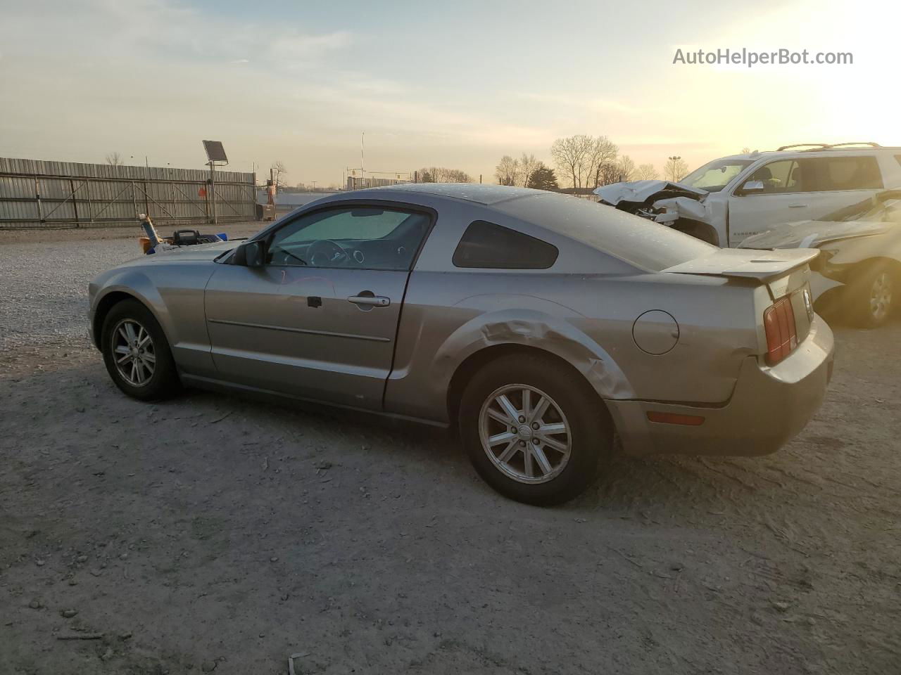 2008 Ford Mustang  Gray vin: 1ZVHT80NX85181415