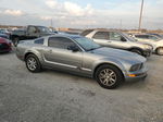 2008 Ford Mustang  Gray vin: 1ZVHT80NX85181415