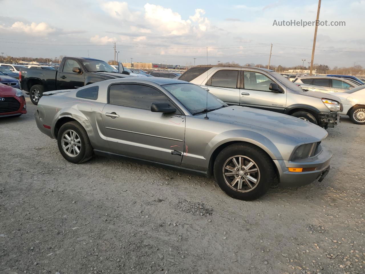 2008 Ford Mustang  Gray vin: 1ZVHT80NX85181415