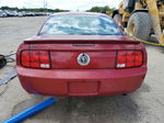 2008 Ford Mustang  Красный vin: 1ZVHT80NX85190454