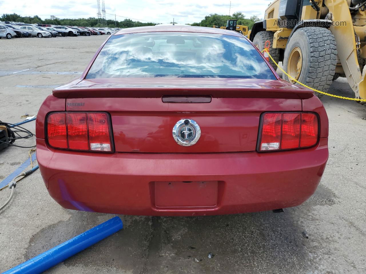 2008 Ford Mustang  Red vin: 1ZVHT80NX85190454