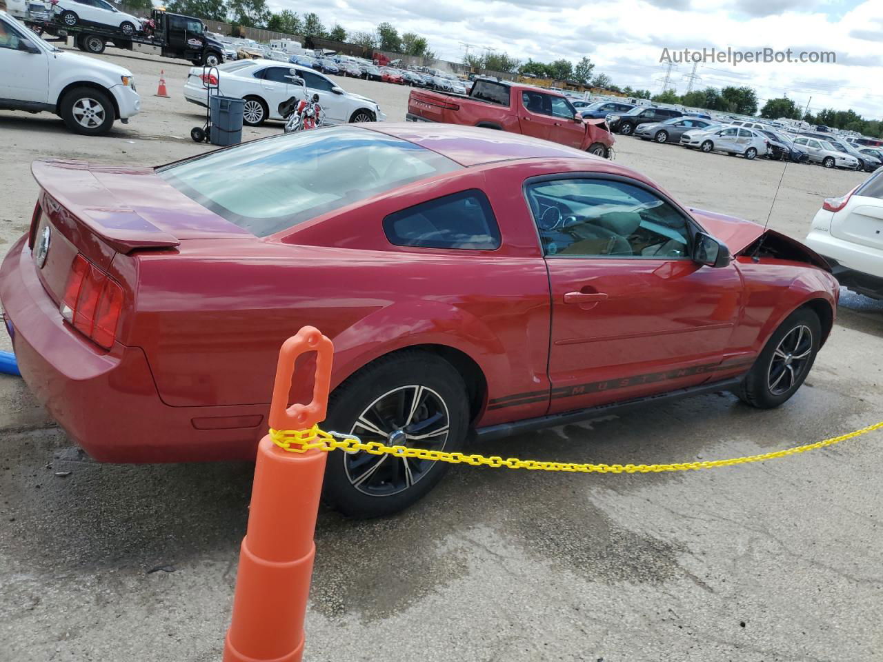 2008 Ford Mustang  Red vin: 1ZVHT80NX85190454