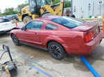 2008 Ford Mustang  Красный vin: 1ZVHT80NX85190454