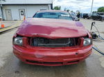 2008 Ford Mustang  Red vin: 1ZVHT80NX85190454