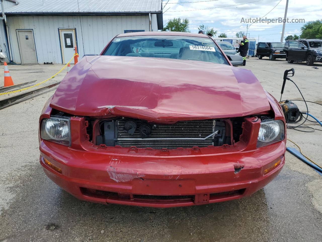 2008 Ford Mustang  Красный vin: 1ZVHT80NX85190454