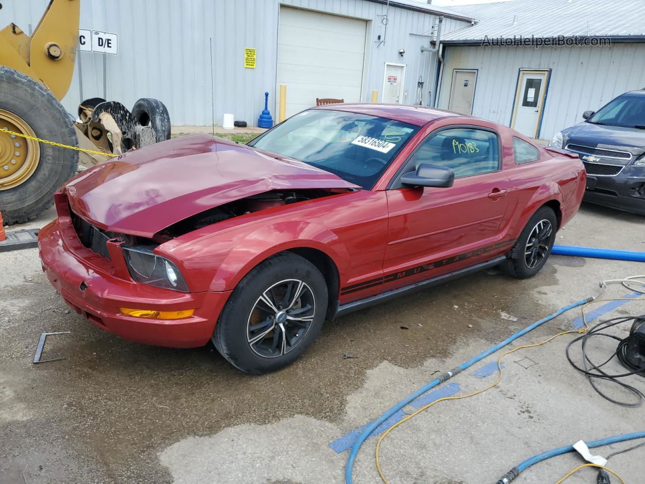 2008 Ford Mustang  Красный vin: 1ZVHT80NX85190454