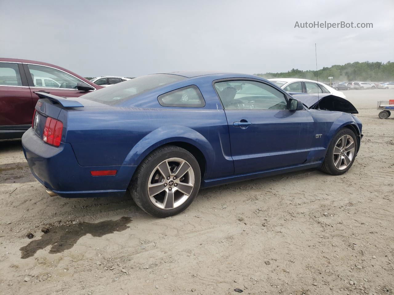 2008 Ford Mustang Gt Синий vin: 1ZVHT82H385154905