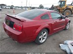 2008 Ford Mustang Gt Deluxe/gt Premium Красный vin: 1ZVHT82H485151544