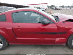 2008 Ford Mustang Gt Deluxe/gt Premium Красный vin: 1ZVHT82H485151544