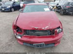 2008 Ford Mustang Gt Deluxe/gt Premium Red vin: 1ZVHT82H485151544