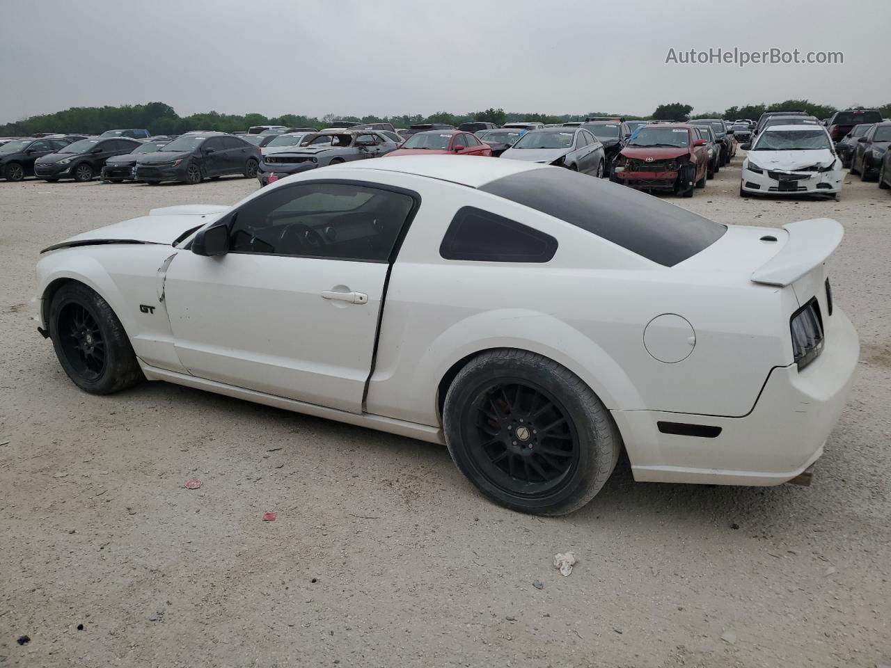 2008 Ford Mustang Gt White vin: 1ZVHT82H585132176