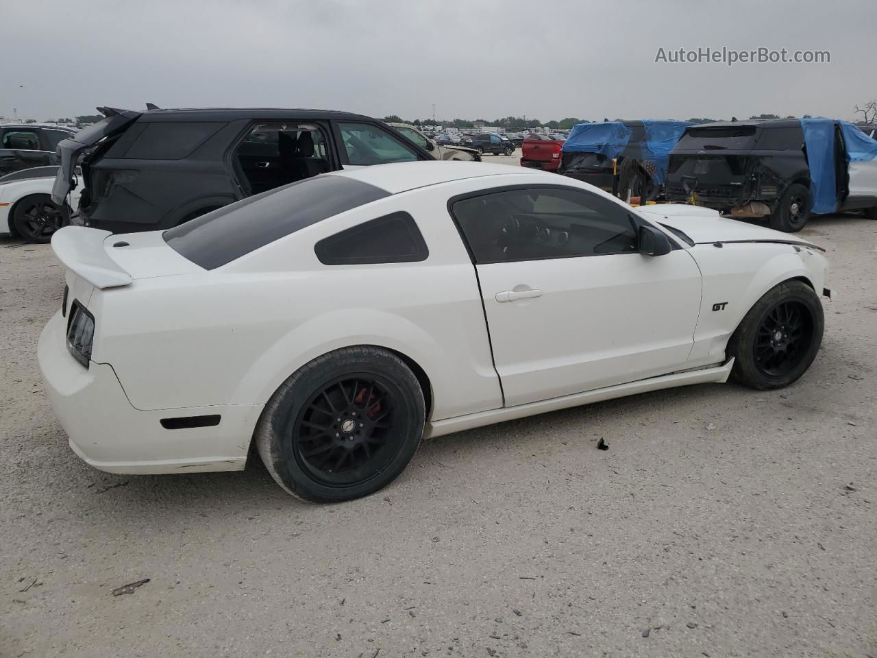 2008 Ford Mustang Gt White vin: 1ZVHT82H585132176