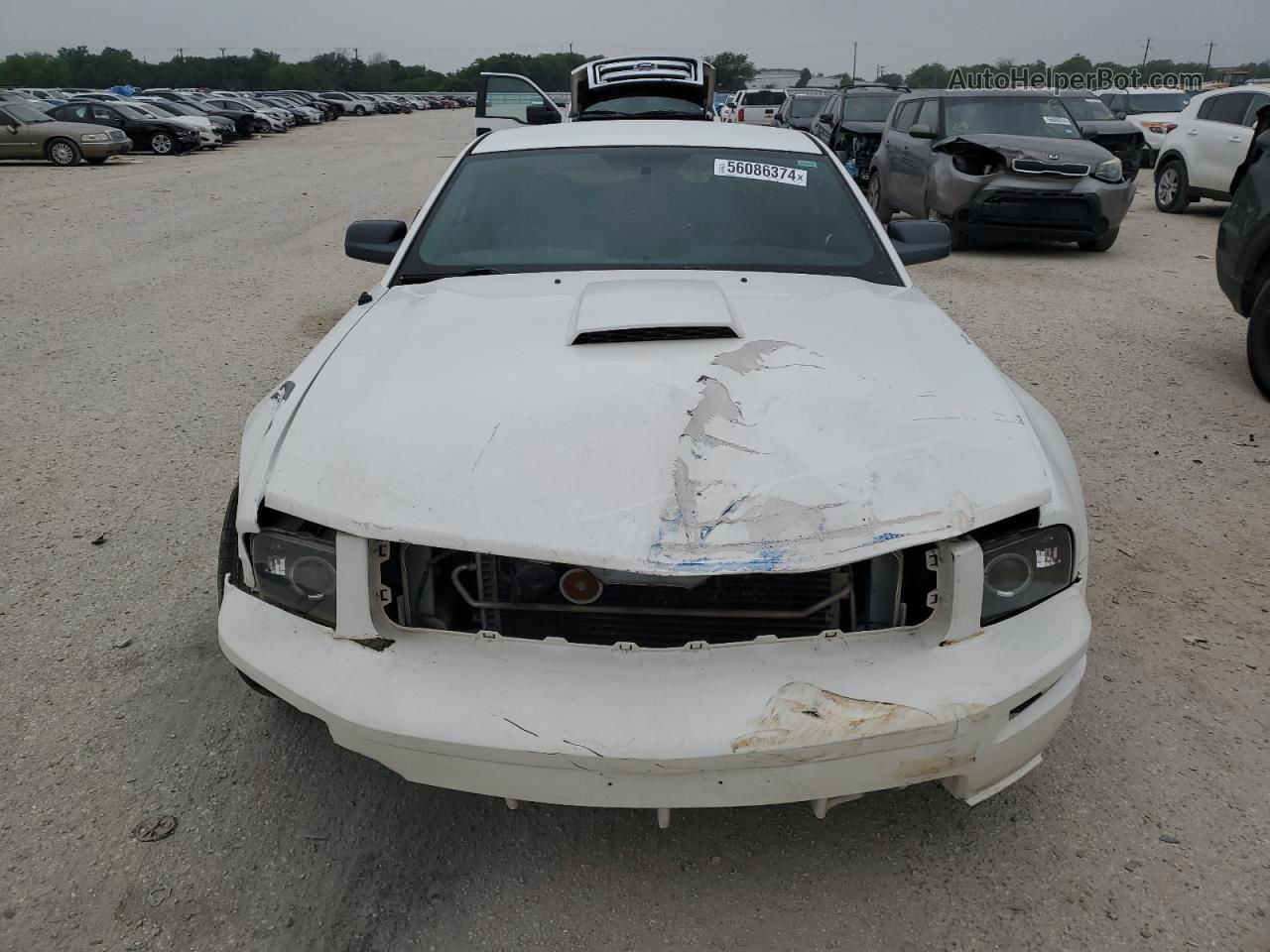 2008 Ford Mustang Gt White vin: 1ZVHT82H585132176