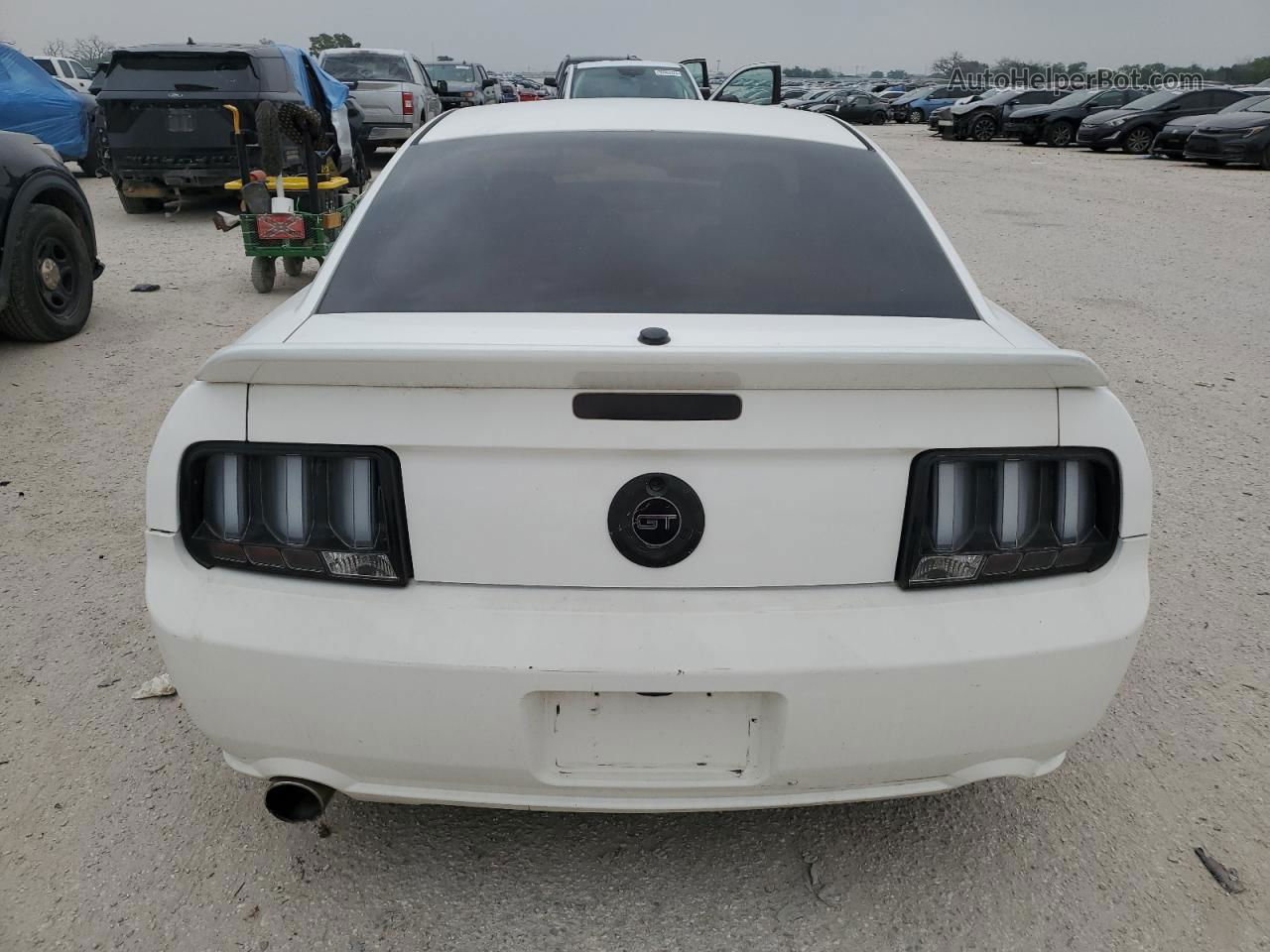 2008 Ford Mustang Gt White vin: 1ZVHT82H585132176