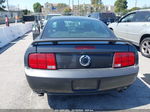 2008 Ford Mustang Gt Deluxe/gt Premium Gray vin: 1ZVHT82H585186920